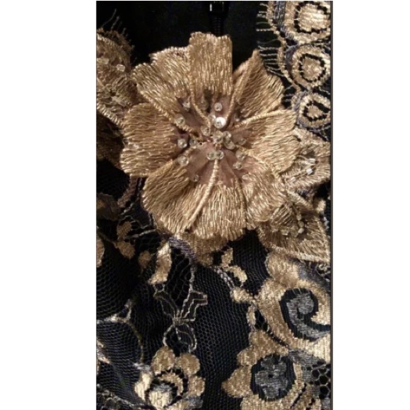 $224 BLACK LACE & GOLD SILK BROCADE DRESS NEW - Picture 5 of 8